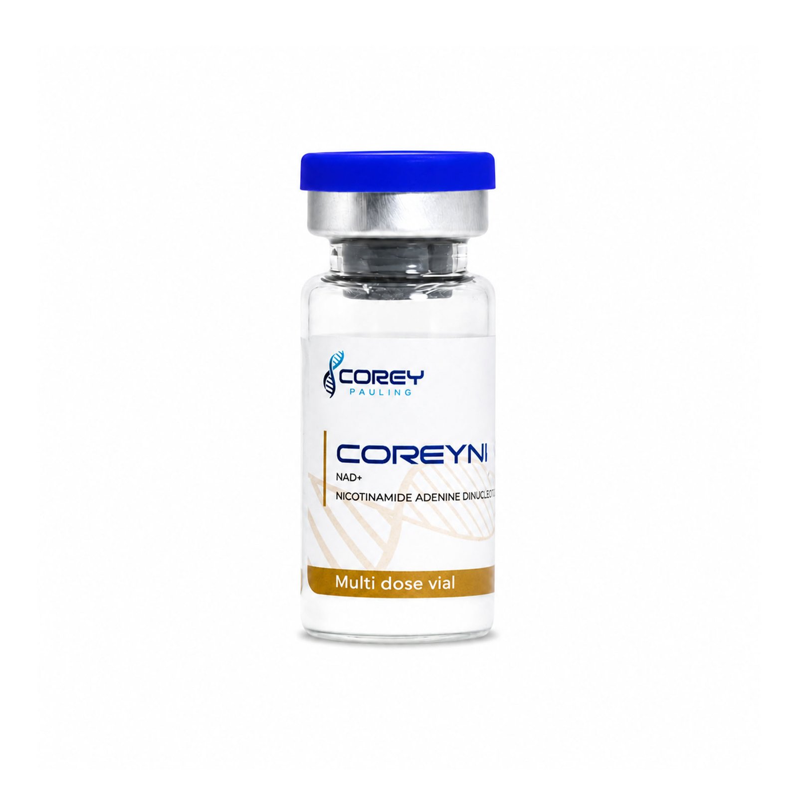 DNA double helix illustration representing coenzyme research